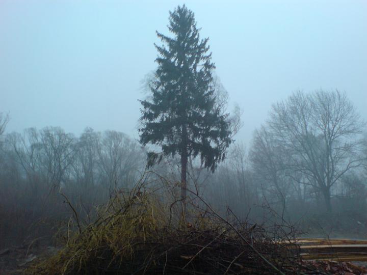 meteorologové hlásili bouřky a orkán o rychlosti až 150km za hodinu